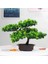 Stil 1 Festivali Saksı Bitki Simülasyon Dekoratif Bonsai Ev Ofis Çam Ağacı Hediye Dıy Süs Gerçekçi Aksesuar Yapay Bonsai (Yurt Dışından) 5