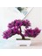 Gül Kırmızı Yapay Bitkiler Bonsai Küçük Ağaç Saksı Sahte Bitki Çiçekler Ev Odası Masa Dekorasyon Otel Bahçe Dekor Için Saksı Süsler (Yurt Dışından) 4