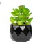 Stil 7 Siyah Seramik Saksı Mini Yapay Yeşil Succulents Bitki Bonsai Seti Sahte Çiçek Vazo Ev Balkon Dekor Masaüstü Süsleme (Yurt Dışından) 1