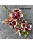S Yapay Bitkiler Simülasyon Yeşil Güve Orkide Yaprakları Pu Phalaenopsis Dekoratif Çiçekler Mikro Peyzaj Ev Düğün Dekorasyon (Yurt Dışından) 1