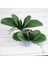 S Yapay Bitkiler Simülasyon Yeşil Güve Orkide Yaprakları Pu Phalaenopsis Dekoratif Çiçekler Mikro Peyzaj Ev Düğün Dekorasyon (Yurt Dışından) 2