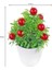 P Mini Yapay Bitkiler Bonsai Küçük Simüle Aloe Ağacı Saksı Bitkileri Sahte Çiçekler Ofis Masası Saksı Süsler Ev Bahçe Dekor (Yurt Dışından) 1