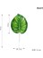 Xi Gua Ye Yapay Tropikal Monstera Kwai Palmiye Ağacı Yaprakları Ev Bahçe Dekorasyonu Sahte Bitkiler Fotoğraf Arka Plan Plante Artificielle (Yurt Dışından) 2