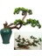 Bir Yapay Bitkiler Küçük Ağaç Yaprağı Karşılama Çam Iğnesi Sahte Yapraklar Şube Bonsai Süsler Ev Otel Bahçe Dekor (Yurt Dışından) 5