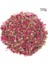 50G 10/50/100G Doğal Gül Kurutulmuş Çiçekler Düğün Konfeti Gül Yaprakları Pop Düğün Parti Dekorasyon Malzemeleri Dıy Sevgililer Hediye (Yurt Dışından) 1