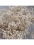 Bej 200G Kurutulmuş Çiçekler Babys Nefes Buket Fildişi Beyaz Çiçekler Ev Dekor Için Doğal Gypsophila Dalları Düğün Masa Dekor Çiçek (Yurt Dışından) 1