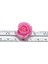 FH05 50 Adet 50/100/200 Adet 2 cm Mini Köpük Gül Ayı Yapay Çiçek Başları Dıy Zanaat Hediyeler Kutusu Düğün Parti Dekoratif Çelenk Ev Dekor (Yurt Dışından) 2