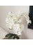 Gül Kırmızı Yapay Ipek Beyaz Orkide Çiçekleri Yüksek Kaliteli Kelebek Güve Phalaenopsis Düğün Ev Festivali Dekorasyon Için Sahte Çiçek (Yurt Dışından) 3