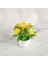 Stil 1 Yapay Saksı Bitki Bonsai Portakal Nar Meyve Ağacı Pot Plastik Bahçe Sahte Bitki Dekorasyon Ev Dekorasyon (Yurt Dışından) 1