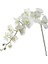 Wh 110 cm 11 Kafaları Ipek Orkide Phalaenopsis Çiçekler Dıy Düğün Çiçek Buketi Yapay Bitkiler Sahte Kelebek Çiçekler Ev Dekor (Yurt Dışından) 1