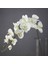 Wh 110 cm 11 Kafaları Ipek Orkide Phalaenopsis Çiçekler Dıy Düğün Çiçek Buketi Yapay Bitkiler Sahte Kelebek Çiçekler Ev Dekor (Yurt Dışından) 5