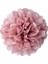 Allık 10 Inç 25 cm 5 Adet 4 6 8 10 12 Inç Kağıt Mendil Pom Pom Poms Düğün Partisi Kağıt Ponpon Çiçek Düğün Dekorasyon Için Ponponlar Doğum Günü Bebek (Yurt Dışından) 1