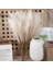 Turuncu 55CM 5 Adet 55CM Sahte Pampas Çim Yapay Görkemli Çim Vazo Dolgu Çiçek Ev, Oturma Odası, Mutfak, Düğün, Boho Dekor (Yurt Dışından) 2