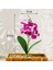 Simülasyon Çiçek Ipek Kelebek Orkide Yapay Çiçekler Dekorasyon Sahte Phalaenopsis Simülasyon Çiçek Noel Düğün Parti Ev Dekor (Yurt Dışından) 4