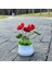 Antoryum Tığ Işi Ayçiçeği Saksı Bitki, Sahte Çiçek Bonsai, Gül, Kaktüs, Antoryum, Calla, Yonca, Lale, Papatya, Ev Masası Dekoru Için Dokuma Hediye (Yurt Dışından) 1
