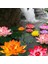 17 cm Kırmızı 10/17/28/40/60 cm Lotus Yapay Çiçek Yüzen Sahte Lotus Bitki Gölet Bahçe Dekor Için Gerçekçi Nilüfer Mikro Peyzaj (Yurt Dışından) 2