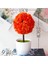 Kiraz Kartopu Kırmızı Kiraz Kartopu Simülasyon Bitki Saksı Çim Topu Bonsai Küçük Ağaç Ev Dekorasyon Çiçek Süsler Yaratıcı Mini Top (Yurt Dışından) 1
