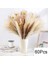 60 Kaynaklanıyor Yaklaşık 55 cm (Vazo Yok) 100 Adet/grup Pampas Seti Dekorasyon Kabarık Doğal Oturma Odası Dekorasyon Uzun Pampas Çim Kurutulmuş Çiçekler Buket Boho Ev Dekor (Yurt Dışından) 2