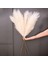 Açık GRI-120CM 1pc Sahte Pampas Çim Dekor Tüy Çim Yapay Phragmites Australis Vazo Süslemeleri Sahte Sazlık Bitkiler Sonsuz Çiçekler (Yurt Dışından) 3