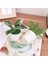 17 1 Adet Mini Yapay Bitki Bonsai Yeşil Bitkiler Pot Pencere Masa Bahçe Sahte Bitki Saksı Dekorasyon Simüle Çiçekler Süsler (Yurt Dışından) 4
