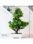 Si Ji Shu Saksı ile Yeşil Bitkiler Yeni Yeşil Yapay Bitkiler Bonsai Küçük Ağaç Çim Çiçek Saksı Bonsai Cadılar Bayramı Düğün Noel Partisi Ev Ofis Dekoru (Yurt Dışından) 1