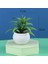 Stil 1 Mini Yapay Aloe Vera Bonsai Küçük Simülasyon Ağacı Saksı Yapay Çiçek Masası Saksı Süsler Ev Dekorasyon El Sanatları (Yurt Dışından) 1