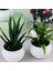 Stil 1 Mini Yapay Aloe Vera Bonsai Küçük Simülasyon Ağacı Saksı Yapay Çiçek Masası Saksı Süsler Ev Dekorasyon El Sanatları (Yurt Dışından) 2
