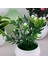 Stil 1 Mini Yapay Aloe Vera Bonsai Küçük Simülasyon Ağacı Saksı Yapay Çiçek Masası Saksı Süsler Ev Dekorasyon El Sanatları (Yurt Dışından) 5