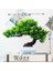 Si Ji Shu Saksı ile Yeşil Bitkiler Yeni Yeşil Yapay Bitkiler Bonsai Küçük Ağaç Çim Çiçek Saksı Bonsai Cadılar Bayramı Düğün Noel Partisi Ev Ofis Dekoru (Yurt Dışından) 3
