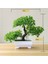 Si Ji Shu Saksı ile Yeşil Bitkiler Yeni Yeşil Yapay Bitkiler Bonsai Küçük Ağaç Çim Çiçek Saksı Bonsai Cadılar Bayramı Düğün Noel Partisi Ev Ofis Dekoru (Yurt Dışından) 4