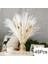 45 Kaynaklanıyor Yaklaşık 55 cm (Vazo Yok) 100 Adet/grup Pampas Seti Dekorasyon Kabarık Doğal Oturma Odası Dekorasyon Uzun Pampas Çim Kurutulmuş Çiçekler Buket Boho Ev Dekor (Yurt Dışından) 2