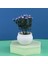 6X14 cm Yapay Bitkiler Mini Bonsai Küçük Simüle Ağaç Saksı Bitkileri Sahte Çiçekler Ofis Masası Saksı Süs Ofis Ev Bahçe Dekor (Yurt Dışından) 1