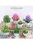 6X14 cm Yapay Bitkiler Mini Bonsai Küçük Simüle Ağaç Saksı Bitkileri Sahte Çiçekler Ofis Masası Saksı Süs Ofis Ev Bahçe Dekor (Yurt Dışından) 5