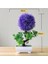 Xuyuanshu Kırmızı Yeni 1 Adet Büyüleyici Yapay Bitki Bonsai Simülasyon Küçük Ağaç Pot Bitki Saksı Parti Düğün Dekor Dıy Ev Gereçleri Sahte Bitki (Yurt Dışından) 4