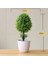 Changchunshu Yeşil Yapay Bitkiler Saksı Bonsai Yeşil Küçük Ağaç Bitkiler Ev Bahçe Dekor Parti Otel Dekor Için Sahte Çiçekler Saksı Süsler (Yurt Dışından) 2