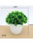 Changchunshu Yeşil Yapay Bitkiler Saksı Bonsai Yeşil Küçük Ağaç Bitkiler Ev Bahçe Dekor Parti Otel Dekor Için Sahte Çiçekler Saksı Süsler (Yurt Dışından) 4