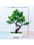 Qiancengsong Yeşil Yeşil Ev Dekor Bonsai Simülasyon Dekoratif Çiçekler Çelenkler Yapay Çiçekler Sahte Yeşil Saksı Bitkileri Süsler Karşılama Çam (Yurt Dışından) 1
