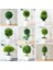 Qiancengsong Yeşil Yeşil Ev Dekor Bonsai Simülasyon Dekoratif Çiçekler Çelenkler Yapay Çiçekler Sahte Yeşil Saksı Bitkileri Süsler Karşılama Çam (Yurt Dışından) 3