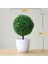 Yingxueqiu Saksı ile Greenplants Yeni Yeşil Yapay Bitkiler Bonsai Küçük Ağaç Çim Çiçek Saksı Bonsai Cadılar Bayramı Düğün Noel Partisi Ev Ofis Dekoru (Yurt Dışından) 1