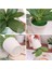 O Mini Yapay Bitkiler Bonsai Küçük Simüle Aloe Ağacı Saksı Bitkileri Sahte Çiçekler Ofis Masası Saksı Süsler Ev Bahçe Dekor (Yurt Dışından) 5