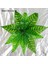 Fern LEAVE-016 Yapay Eğreltiotu Bitkileri Duvar Dekorasyonu Yaprak Aksesuarları Kaplumbağa Arka Yaprak Farsça Yeşil Bitki Duvar Aksesuarları Ev Dekorasyon (Yurt Dışından) 1
