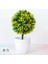 51 Yıldız Topu Sarı Kiraz Kartopu Simülasyon Bitki Saksı Çim Topu Bonsai Küçük Ağaç Ev Dekorasyon Çiçek Süsler Yaratıcı Mini Top (Yurt Dışından) 1