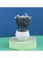 Stil 5 Mini Yapay Aloe Vera Bonsai Küçük Simülasyon Ağacı Saksı Yapay Çiçek Masası Saksı Süsler Ev Dekorasyon El Sanatları (Yurt Dışından) 1