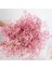 Pembe 100G Beyaz Doğal Kurutulmuş Gypsophila Bebeğin Nefesi Kurutulmuş Çiçekler Gypsophila Aranjmanı Ev Dekorasyon Düğün Masa Dekor Çiçek Dıy (Yurt Dışından) 1