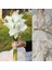 10 Adet 37 cm Beyaz Pu Sahte Çiçek Yapay Calla Lily Ev Dekor Için Düğün Gelin Buketi Ev Masa Çiçek Buket Dekor 10/5 Adet (Yurt Dışından) 3