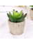 Stil 11 Plastik Yapay Etli Bitkiler Sahte Dekoratif Top Bitkiler Simülasyon Mini Mini Yapay Bonsai Ev Dekor Için (Yurt Dışından) 5
