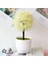 51 Sümbül Beyaz Kiraz Kartopu Simülasyon Bitki Saksı Çim Topu Bonsai Küçük Ağaç Ev Dekorasyon Çiçek Süsler Yaratıcı Mini Top (Yurt Dışından) 1