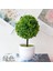 51 Sümbül Beyaz Kiraz Kartopu Simülasyon Bitki Saksı Çim Topu Bonsai Küçük Ağaç Ev Dekorasyon Çiçek Süsler Yaratıcı Mini Top (Yurt Dışından) 5