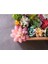 Fg Bo Xue Cao 39 Stilleri Yapay Bitkiler Ev Bahçe Dekorasyon Sahte Bitkiler Bonsai Succulents Bitkiler Düğün Çiçek Aranjmanı Aksesuarları (Yurt Dışından) 3