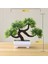 Longxushu Pot ile Greenplants Yeni Yeşil Yapay Bitkiler Bonsai Küçük Ağaç Çim Çiçek Saksı Bonsai Cadılar Bayramı Düğün Noel Partisi Ev Ofis Dekoru (Yurt Dışından) 1